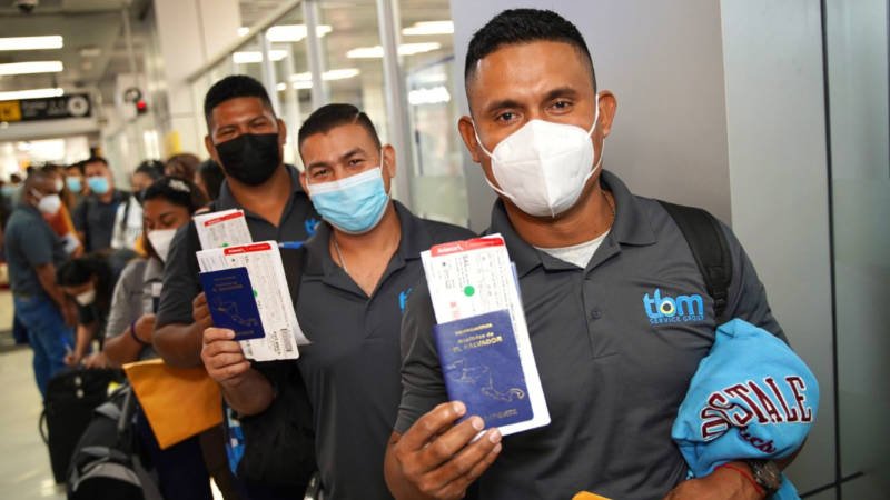 Los hermanos Ramírez: oficios calificados y nominación provincial