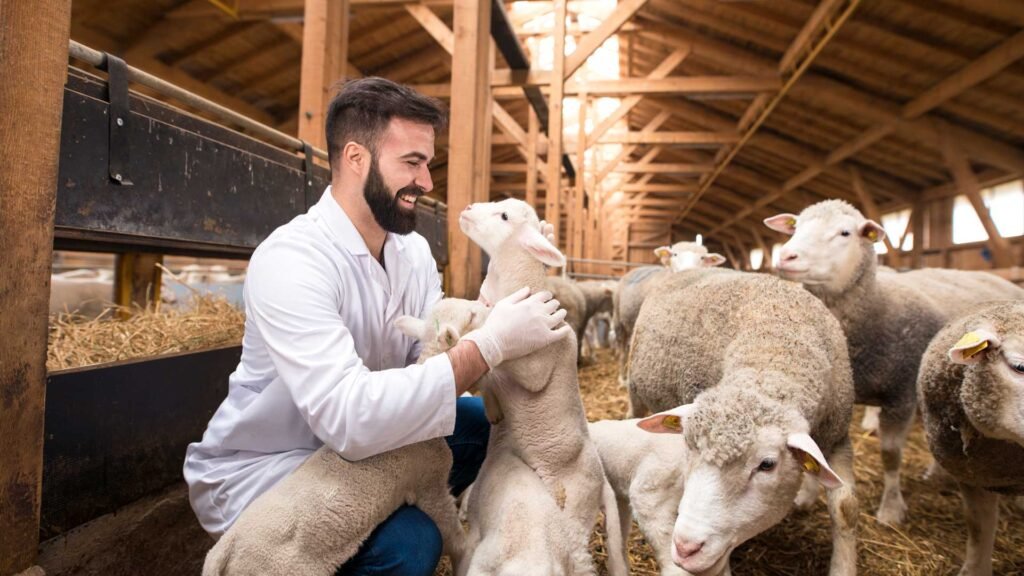 Trabajo de Cuidador de Animales en Canadá